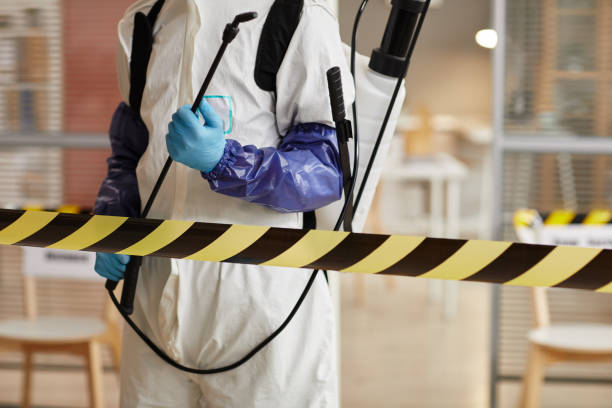 Professional Hoarding Cleanup technician working in Key Biscayne, FL